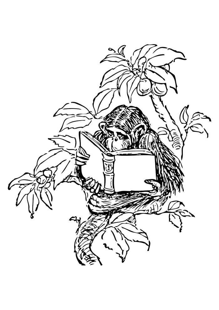 Affen Ausmalbilder 011