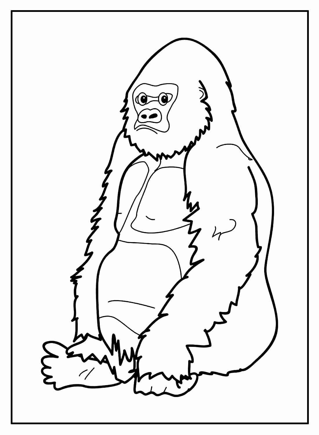 Affen Ausmalbilder 248