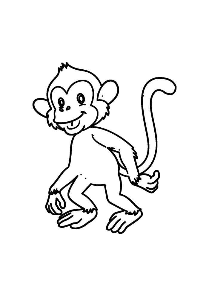 Affen Ausmalbilder 370