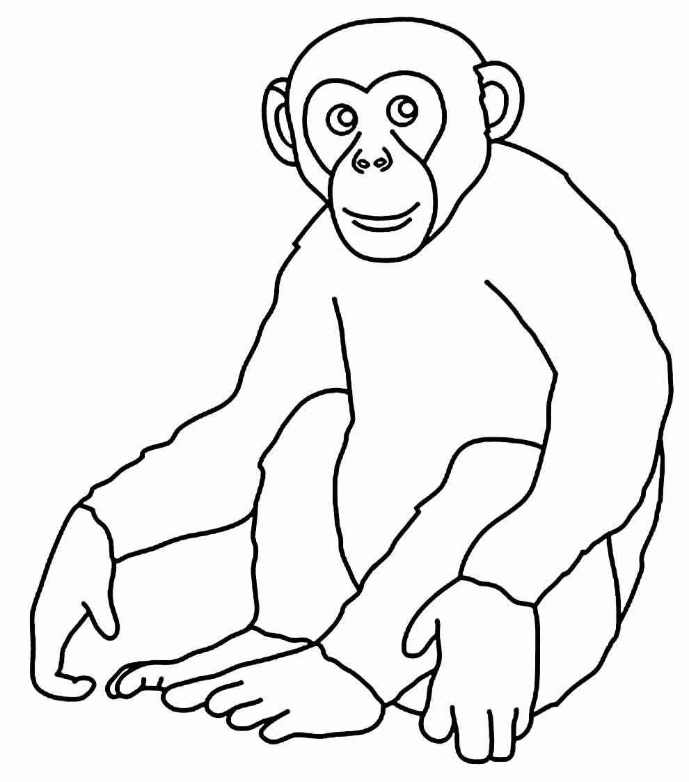Affen Ausmalbilder 419