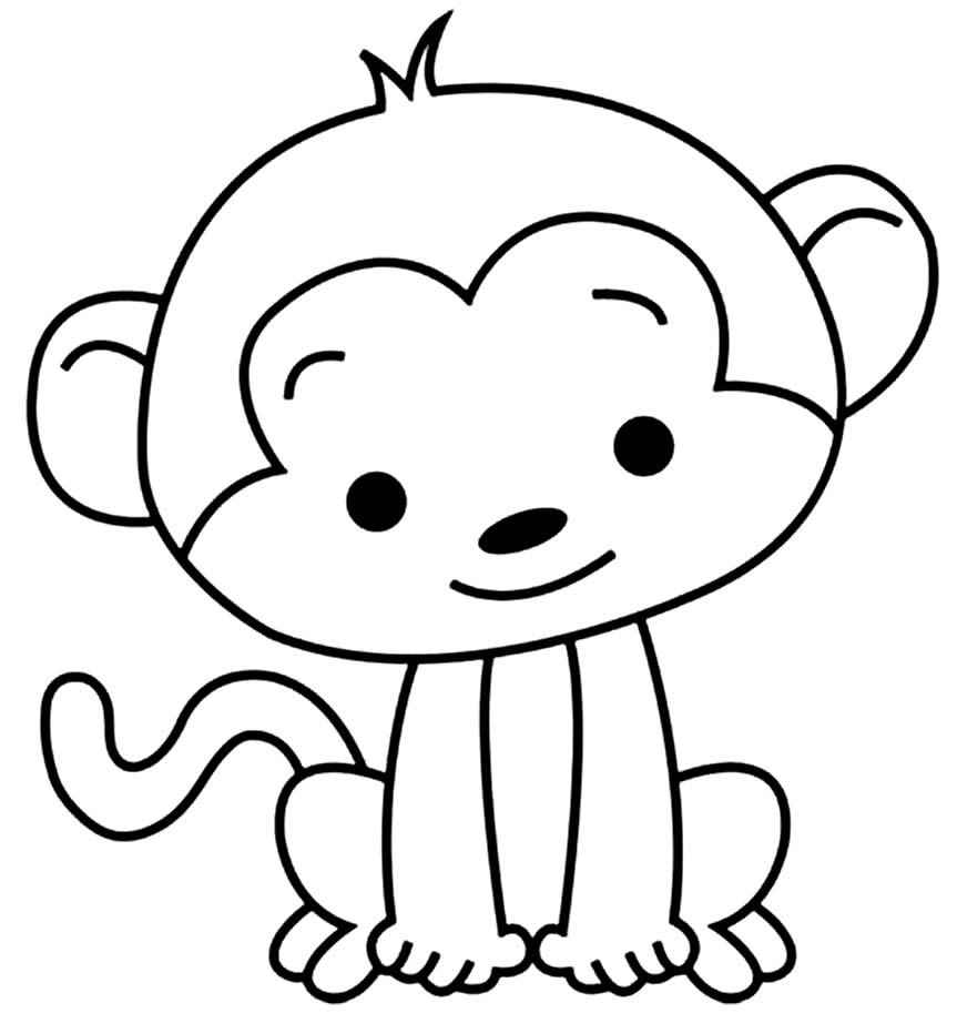 Affen Ausmalbilder 437