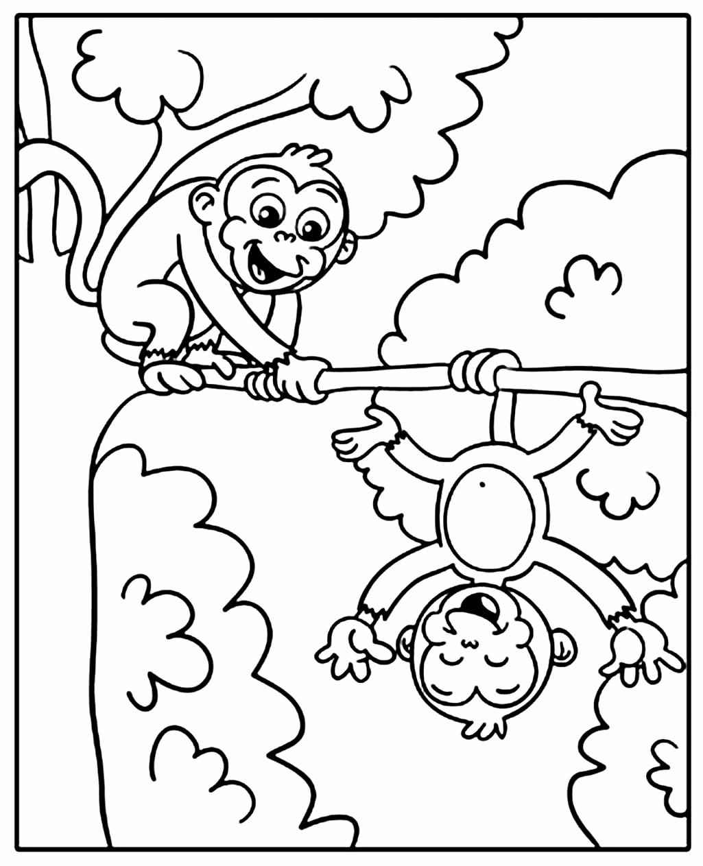 Affen Ausmalbilder 463