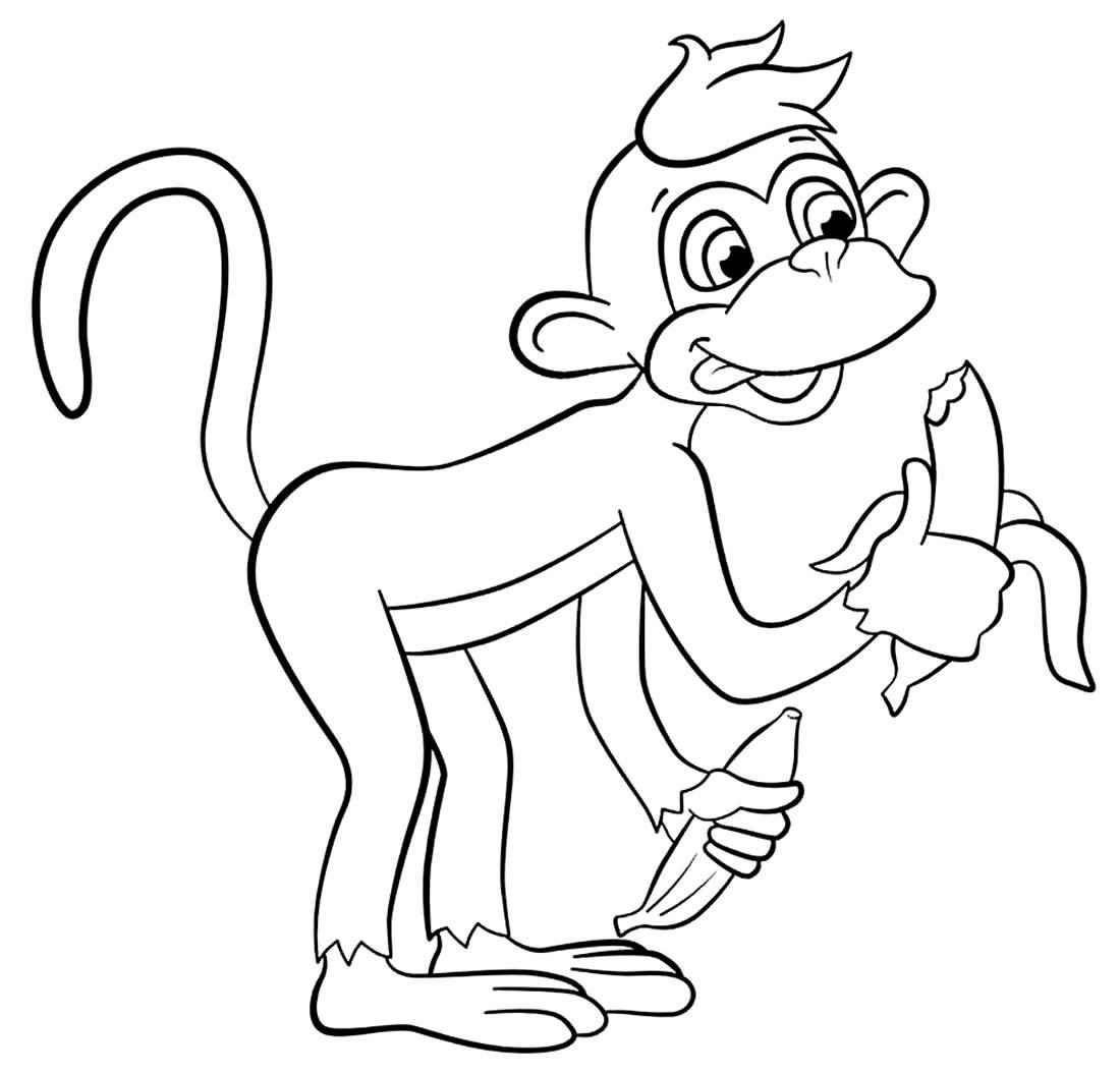 Affen Ausmalbilder 520