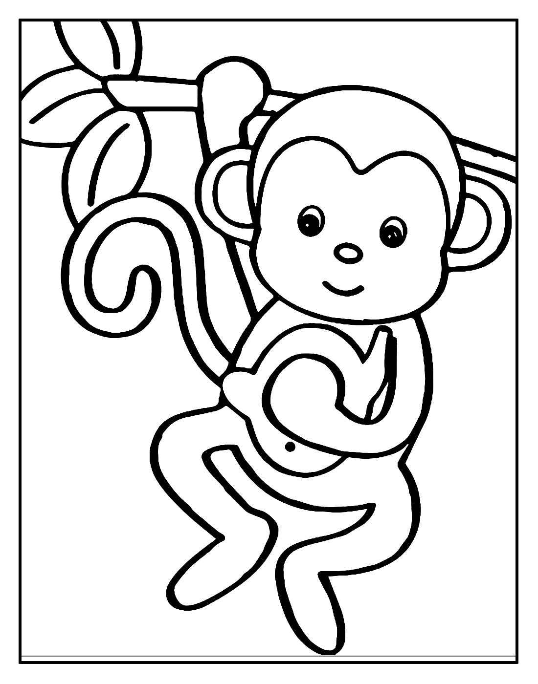 Affen Ausmalbilder 523