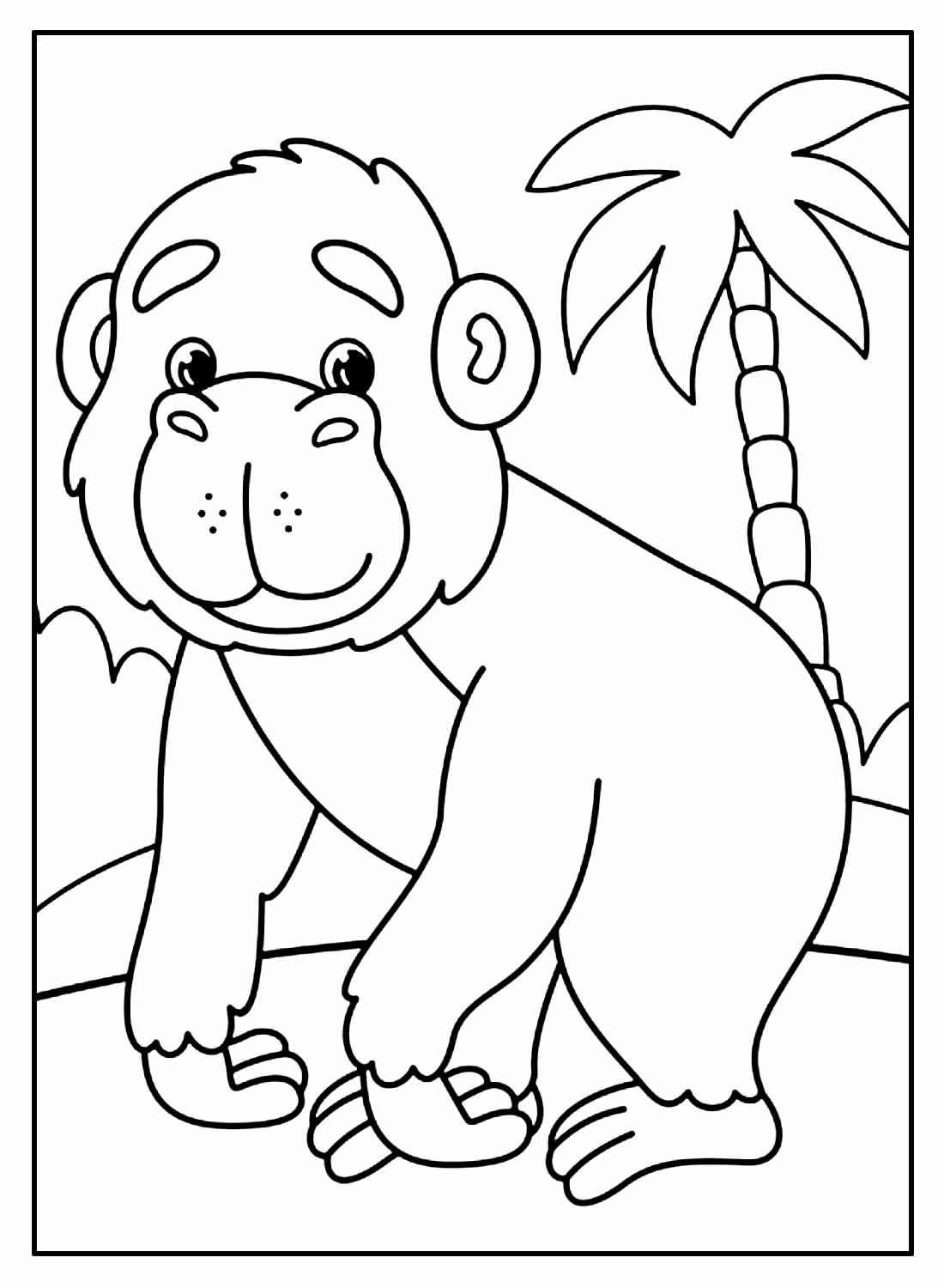 Affen Ausmalbilder 534