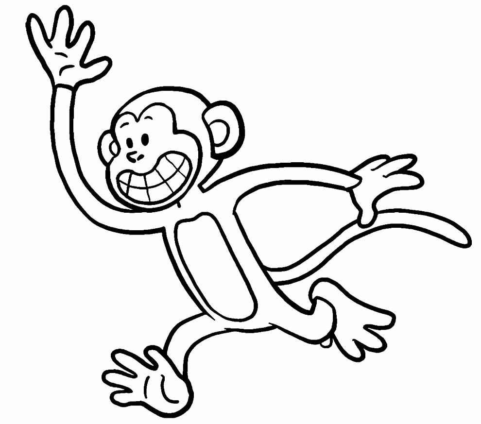 Affen Ausmalbilder 550