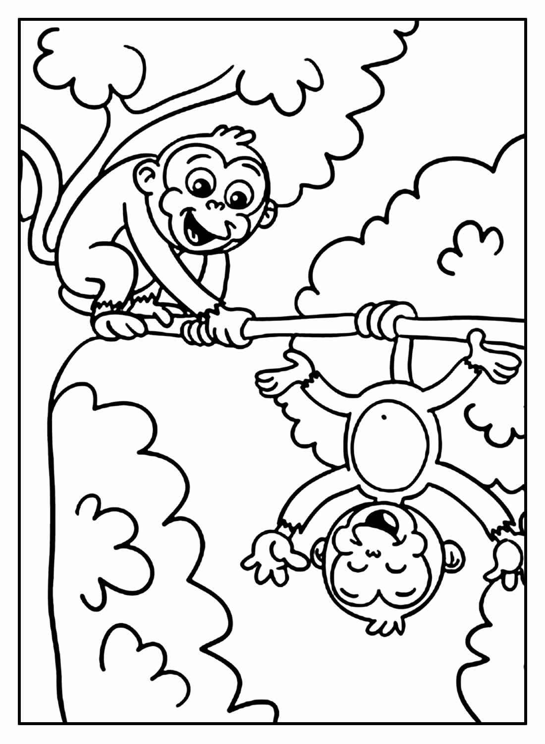 Affen Ausmalbilder 675