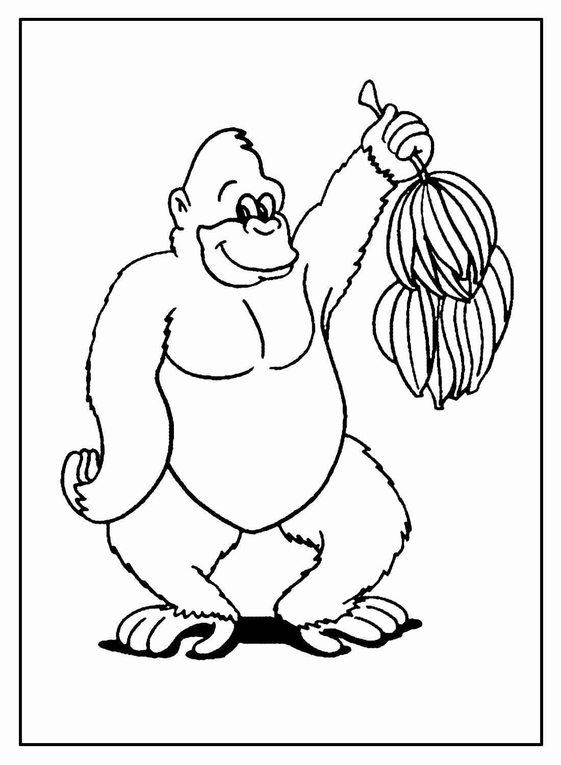 Affen Ausmalbilder 703