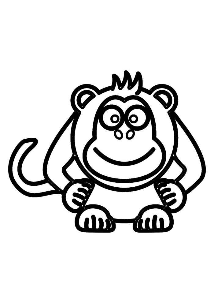 Affen Ausmalbilder 744