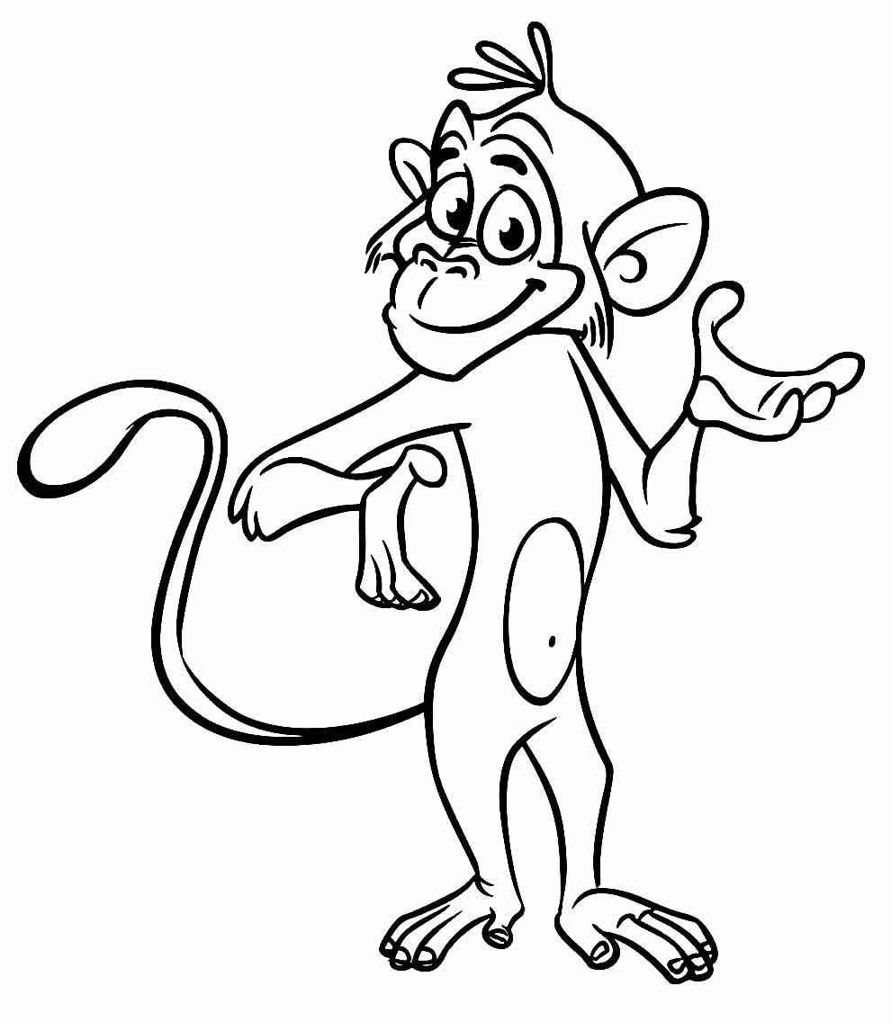 Affen Ausmalbilder 910