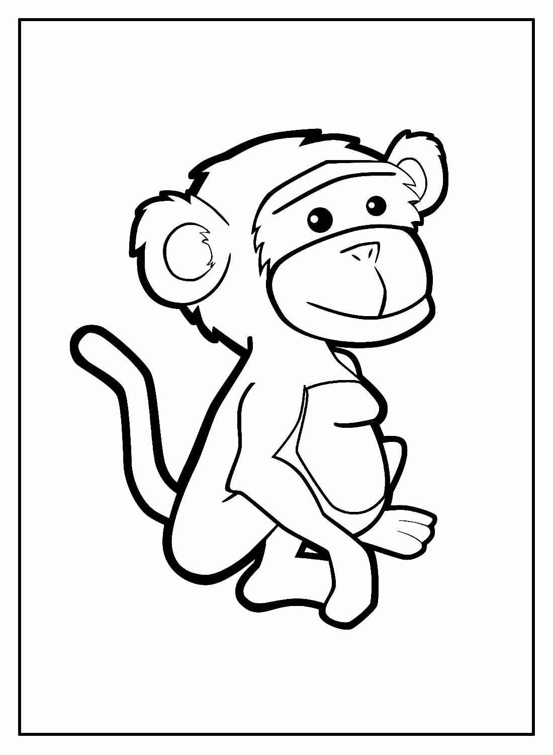 Affen Ausmalbilder 952