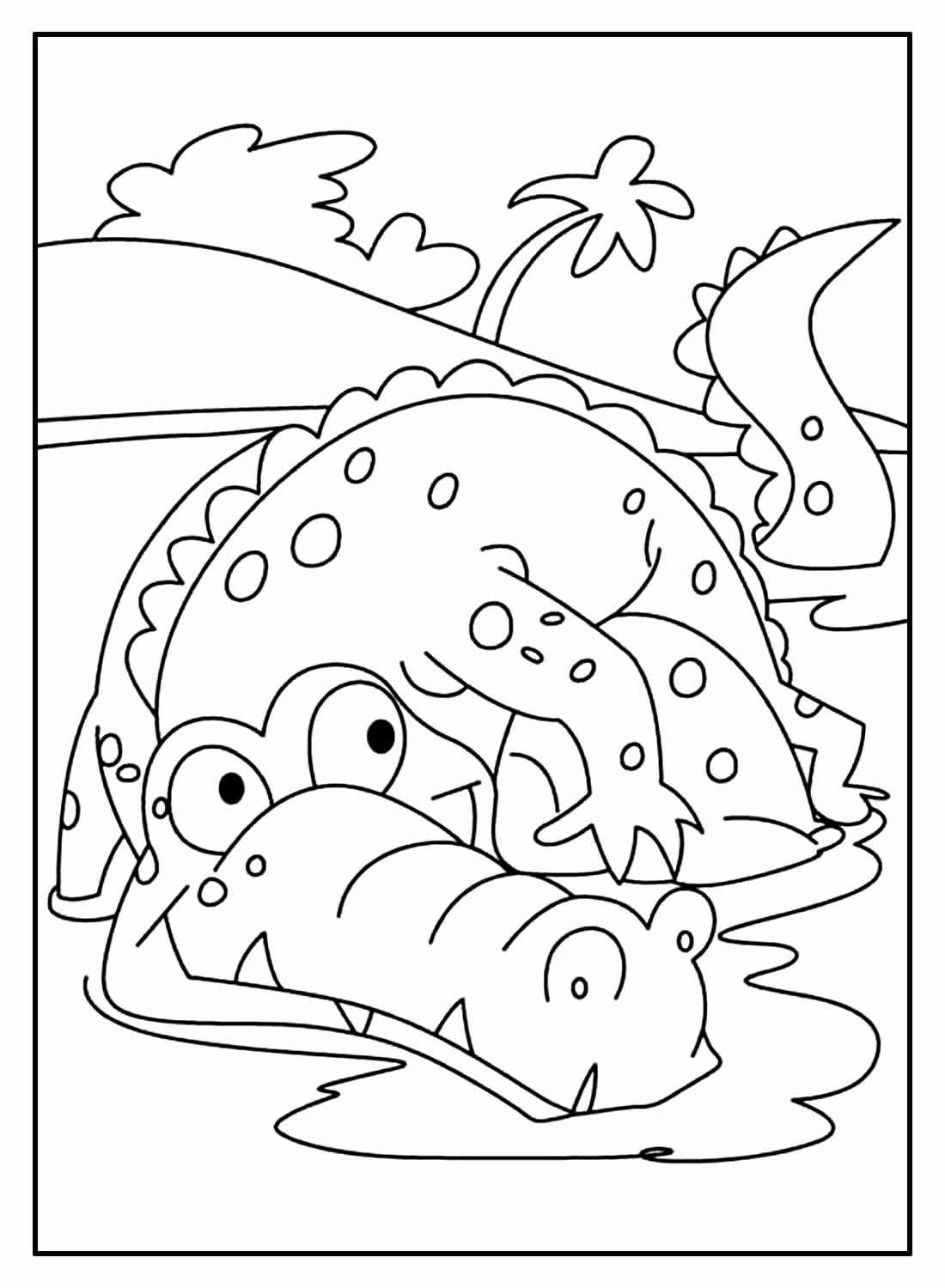 Alligator Ausmalbilder 300