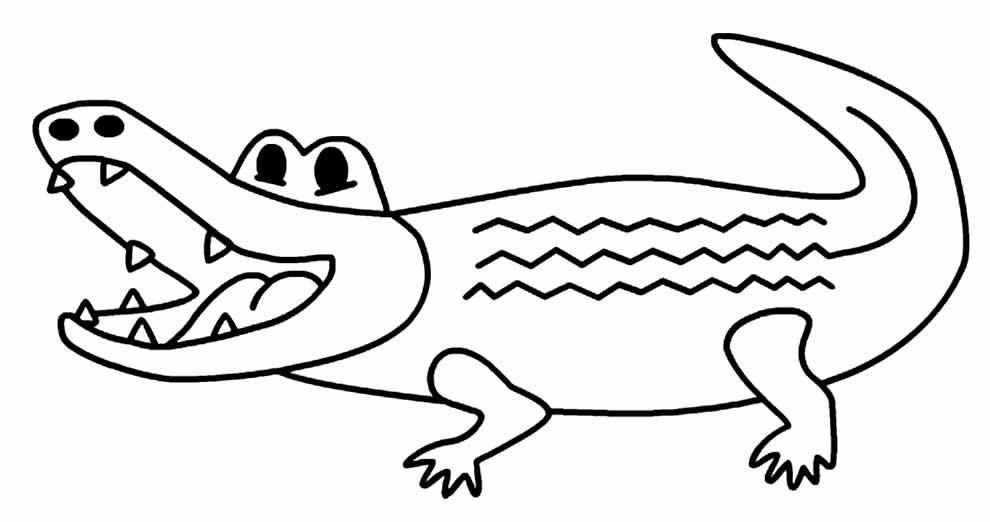 Alligator Ausmalbilder 304