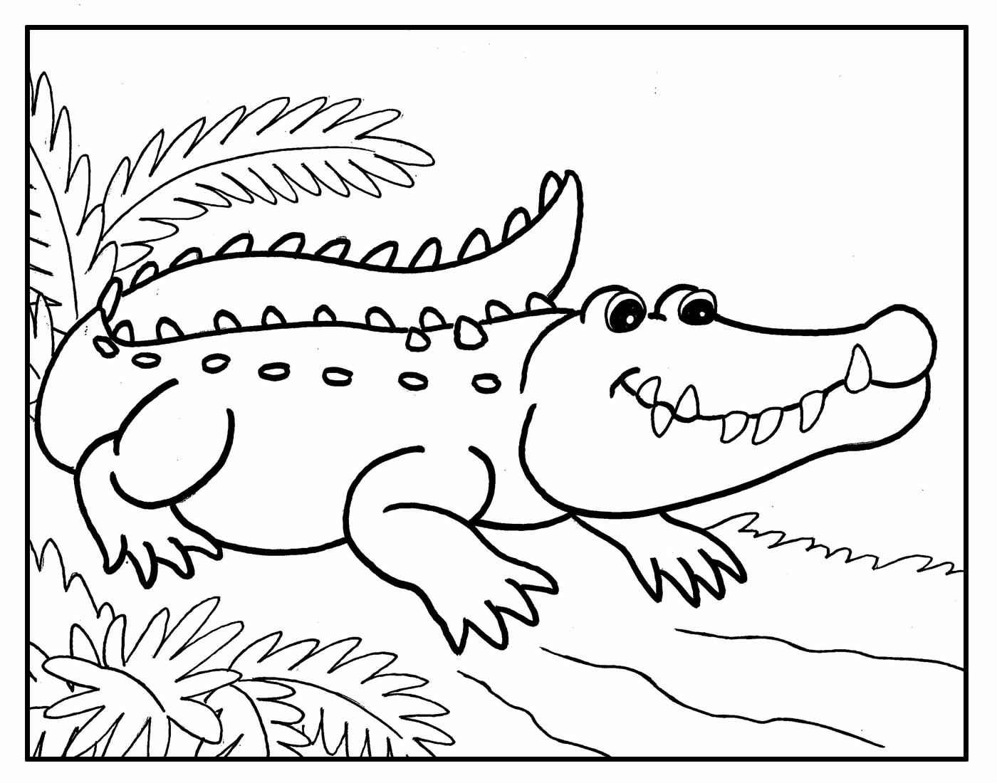 Alligator Ausmalbilder 348