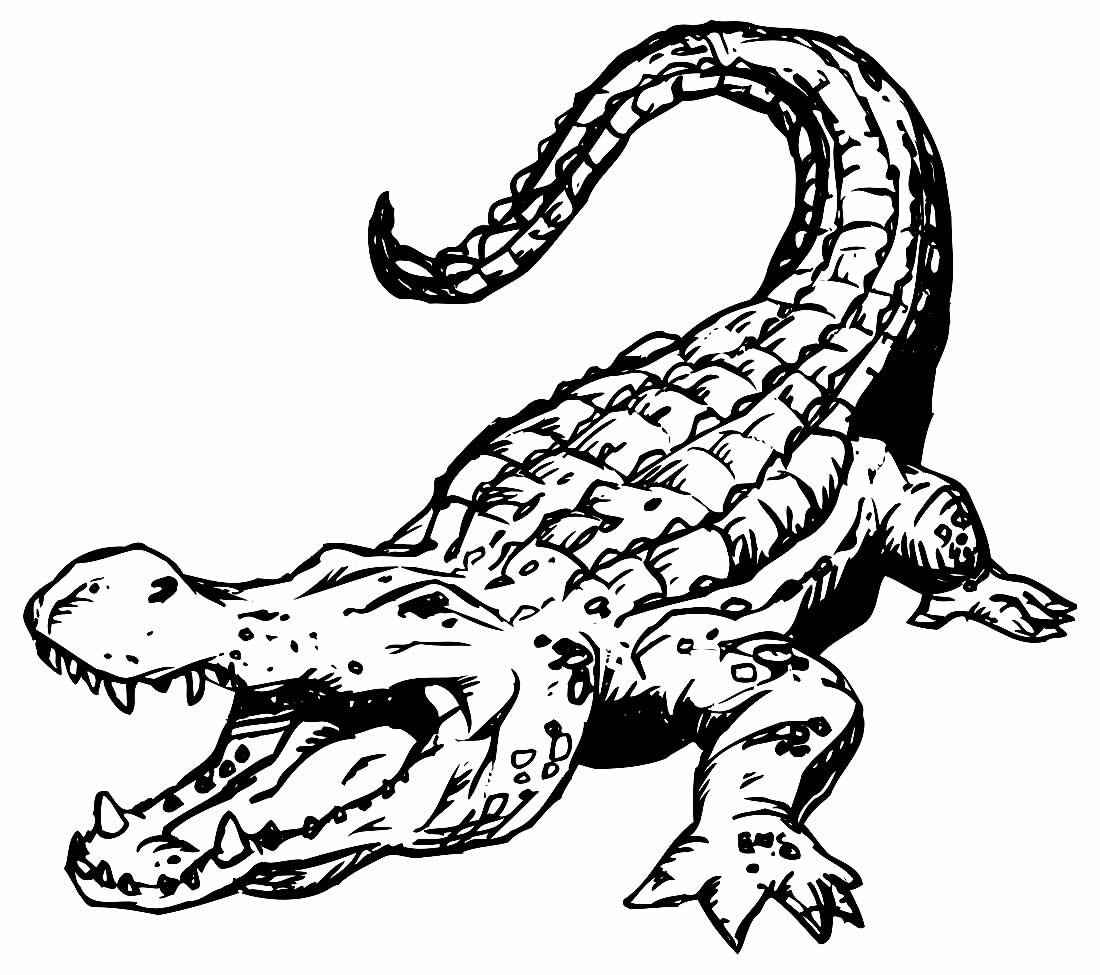 Alligator Ausmalbilder 380
