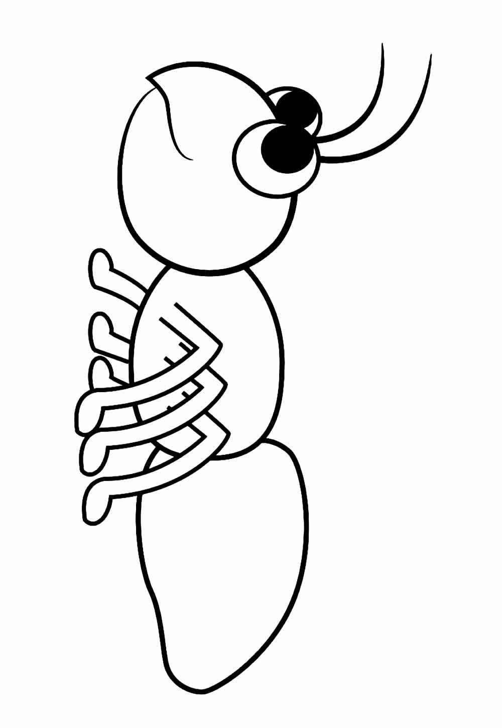 Ameisen Ausmalbilder 949