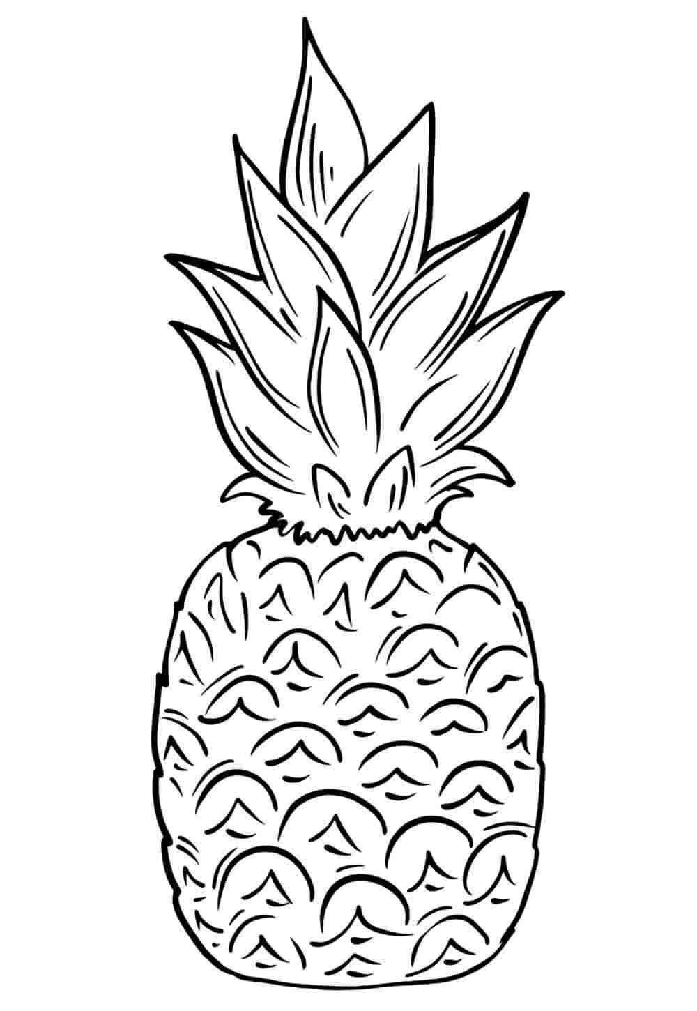 Ananas Ausmalbilder 481