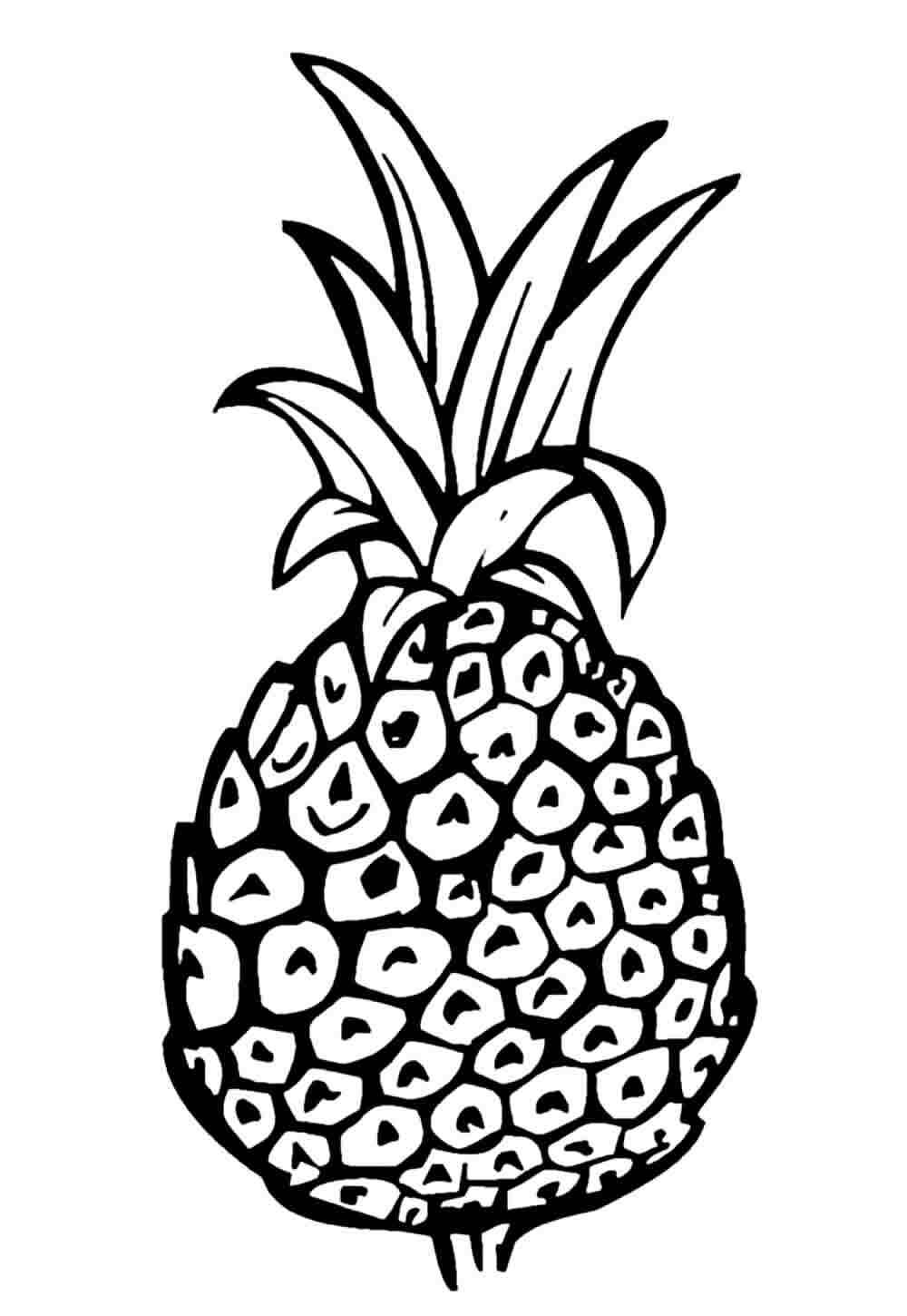 Ananas Ausmalbilder 690