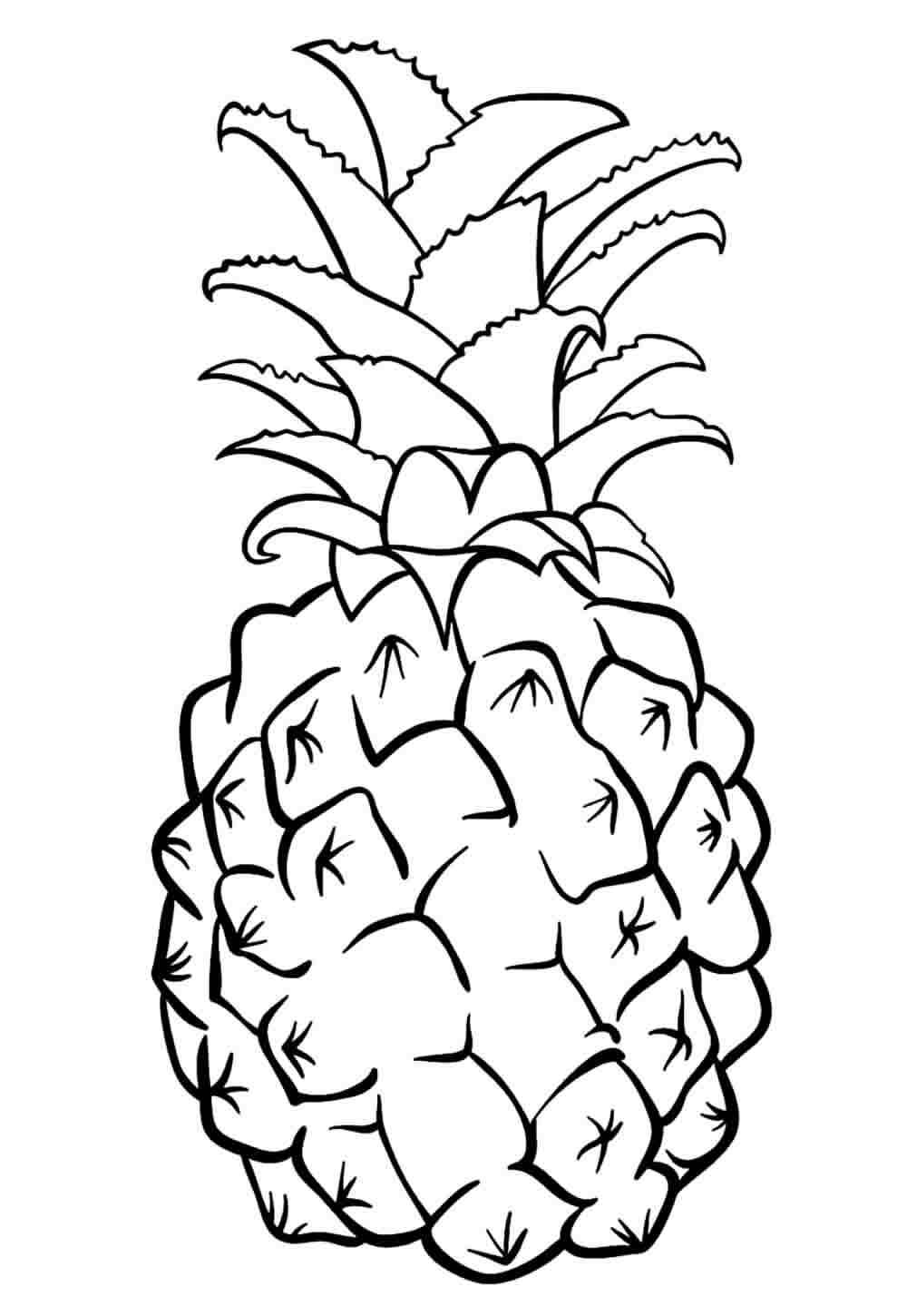 Ananas Ausmalbilder 913