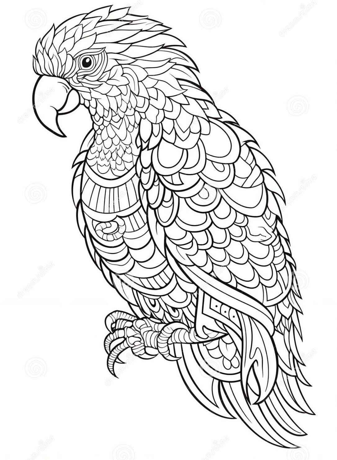 Ara Ausmalbilder 049