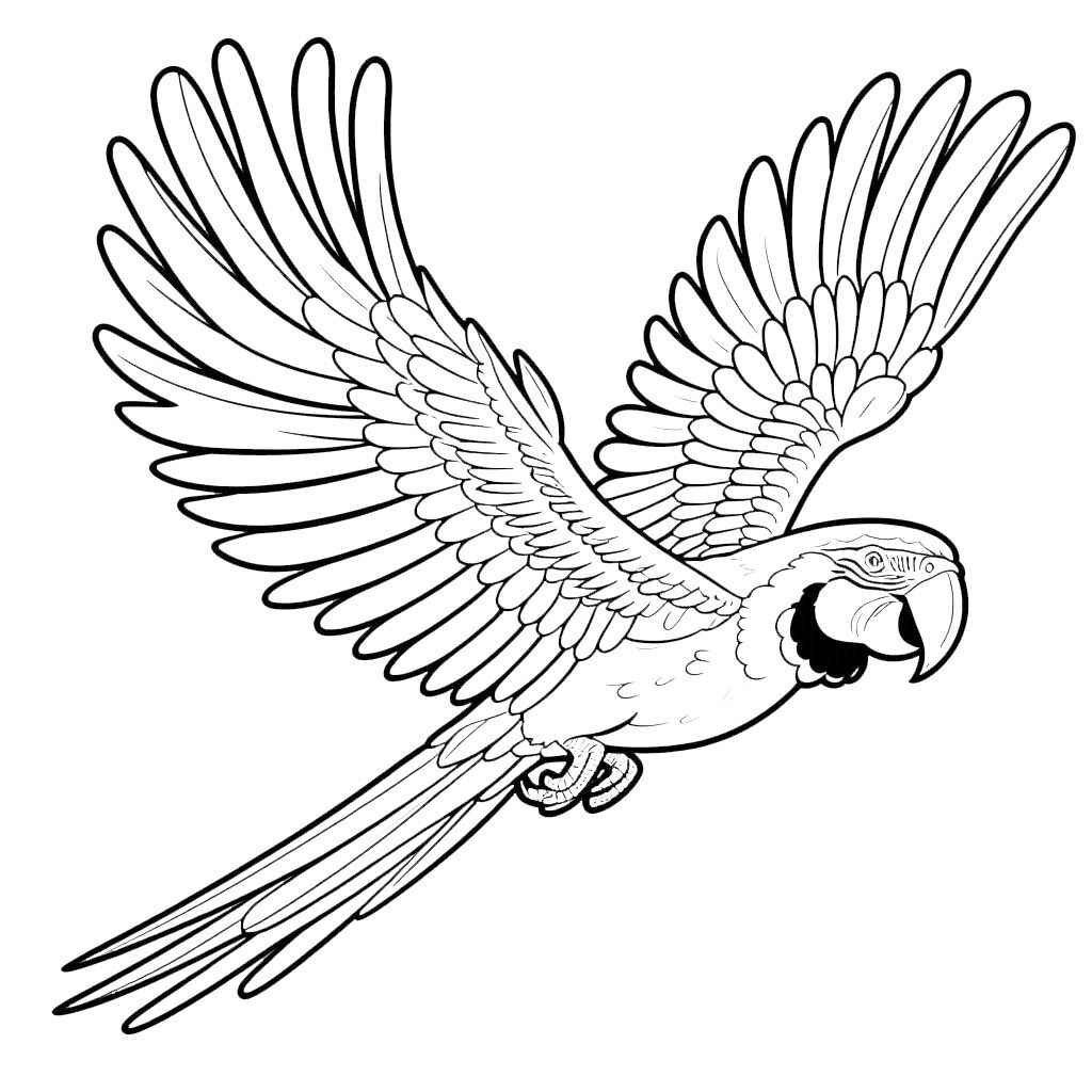 Ara Ausmalbilder 085