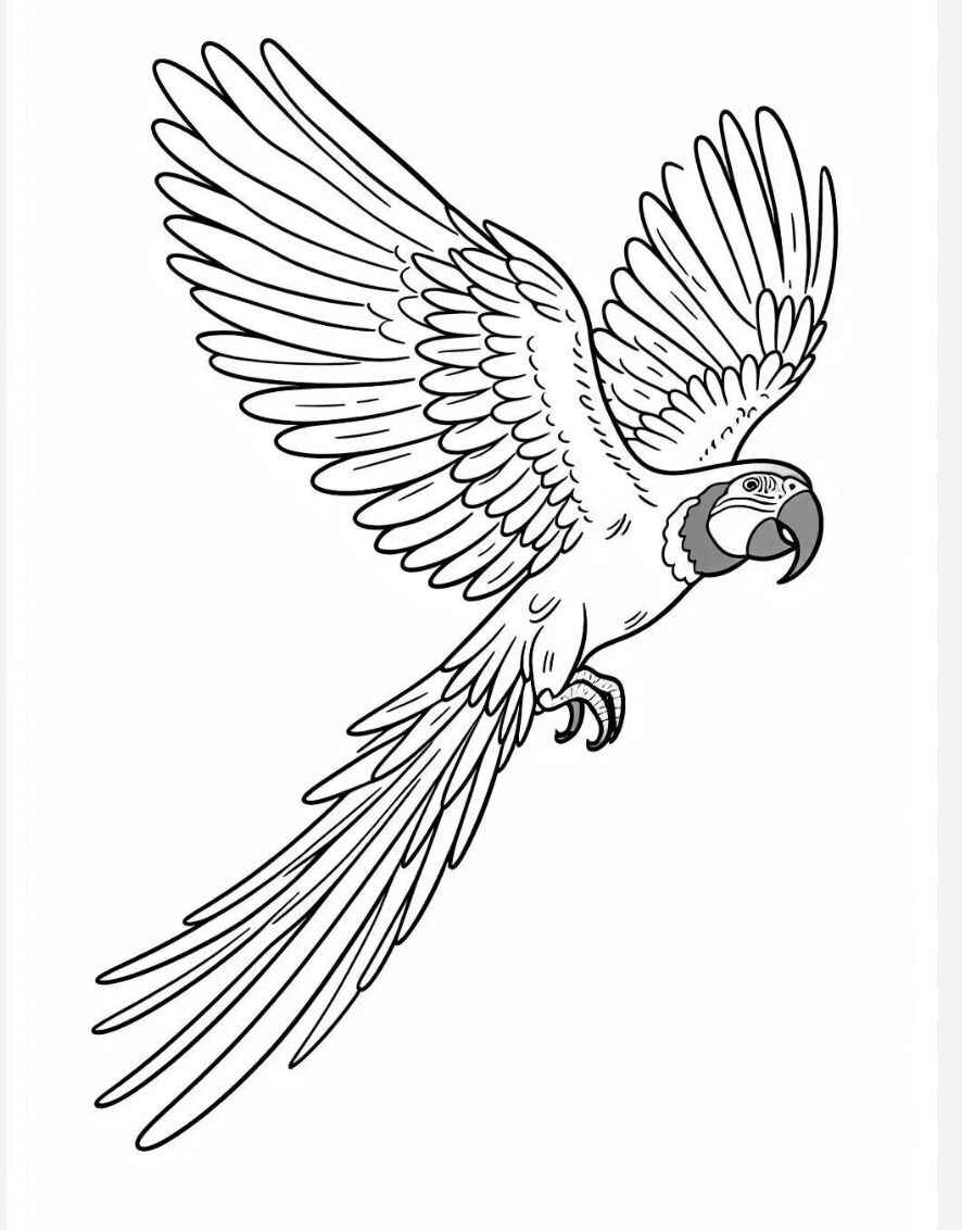 Ara Ausmalbilder 664