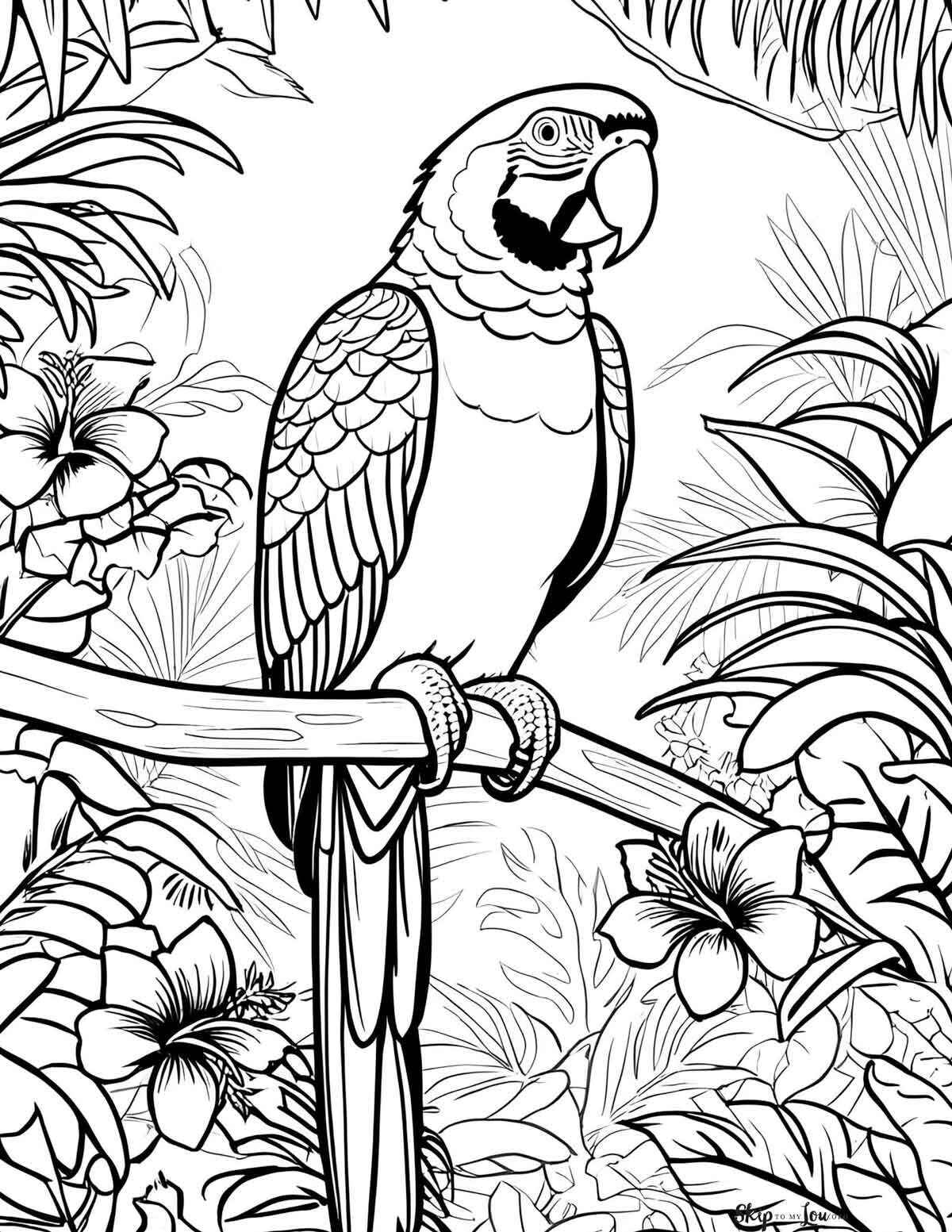 Ara Ausmalbilder 747