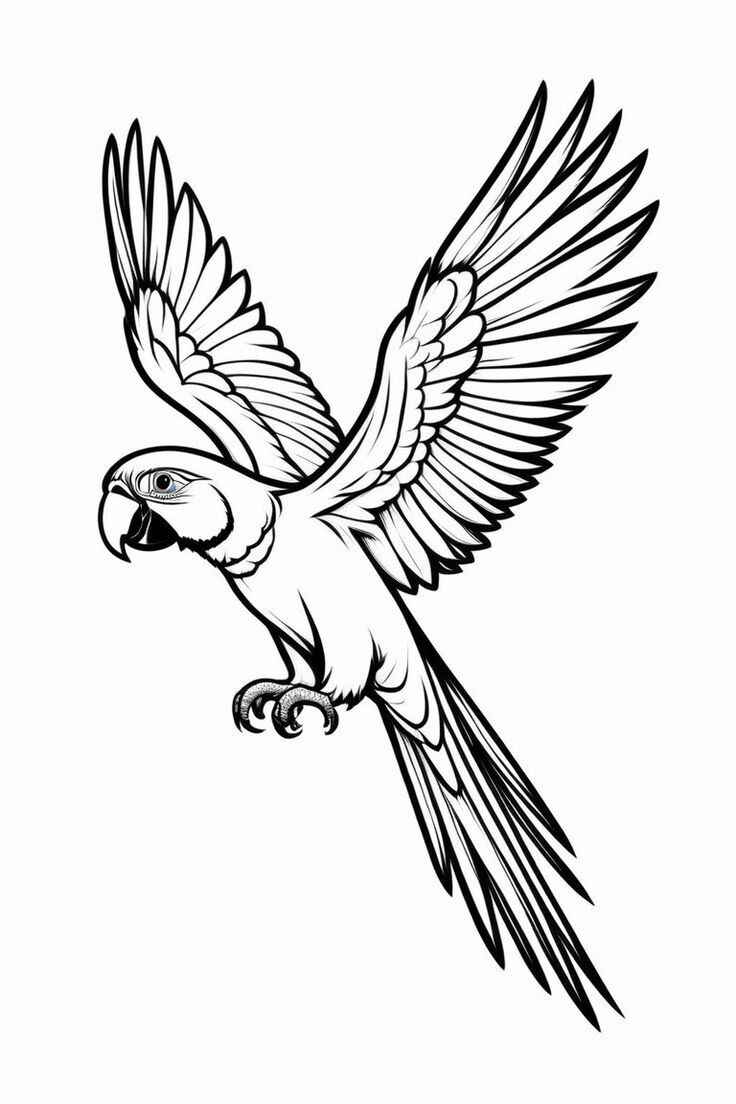 Ara Ausmalbilder 813