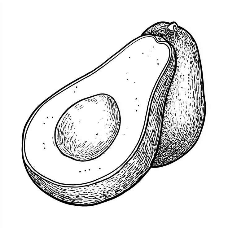 Avocado Ausmalbilder 745