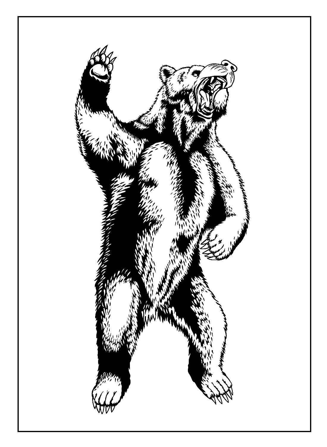 Bären Ausmalbilder 123
