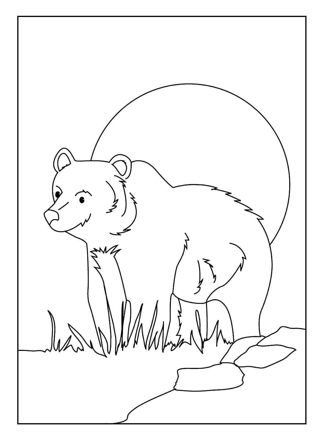 Bären Ausmalbilder 550