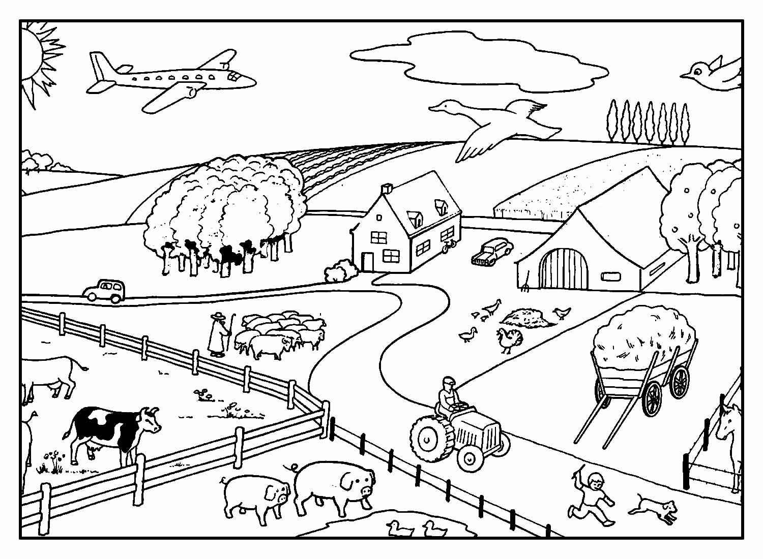 Bauernhof Ausmalbilder 076