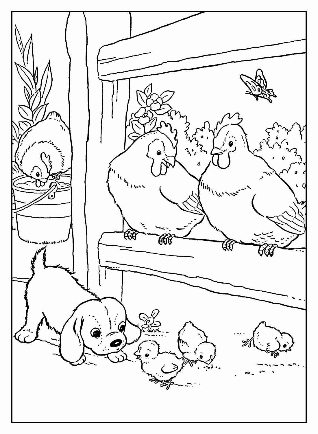 Bauernhof Ausmalbilder 323