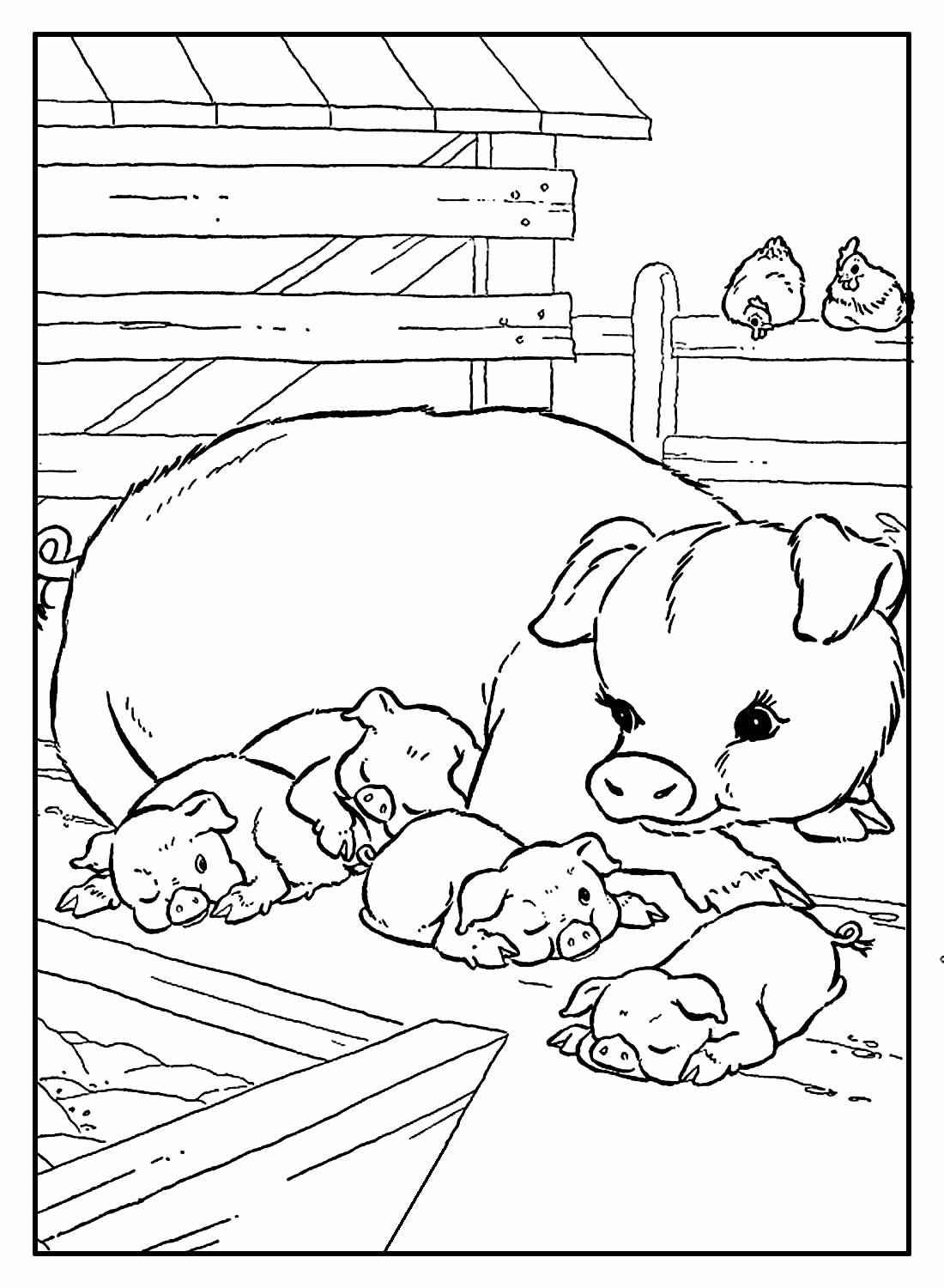 Bauernhof Ausmalbilder 488