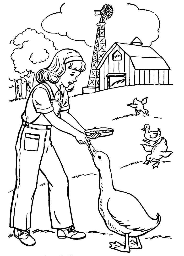 Bauernhof Ausmalbilder 554