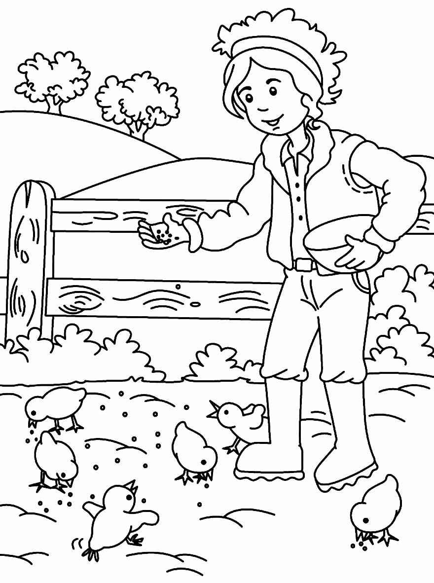 Bauernhof Ausmalbilder 641