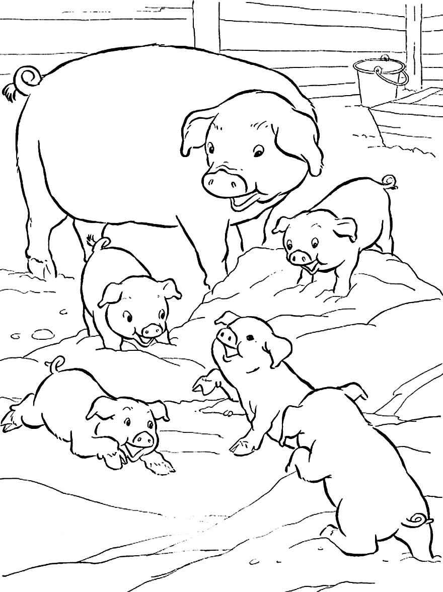 Bauernhof Ausmalbilder 645