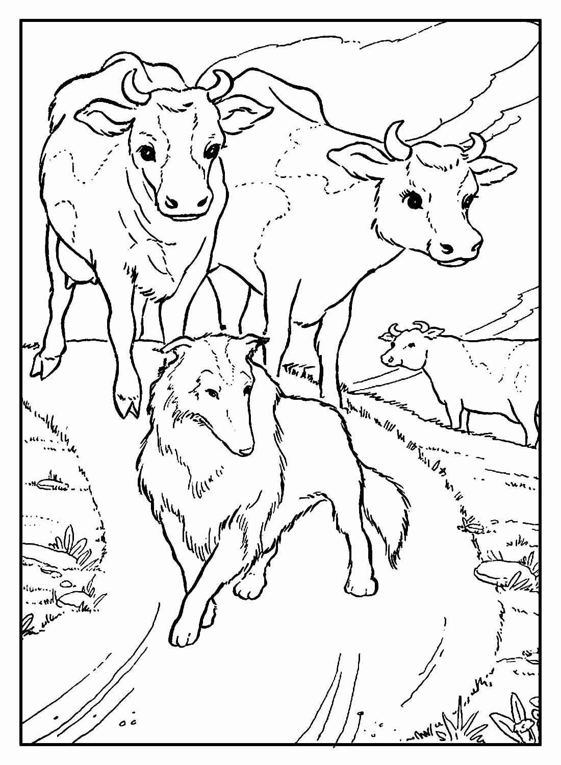 Bauernhof Ausmalbilder 899