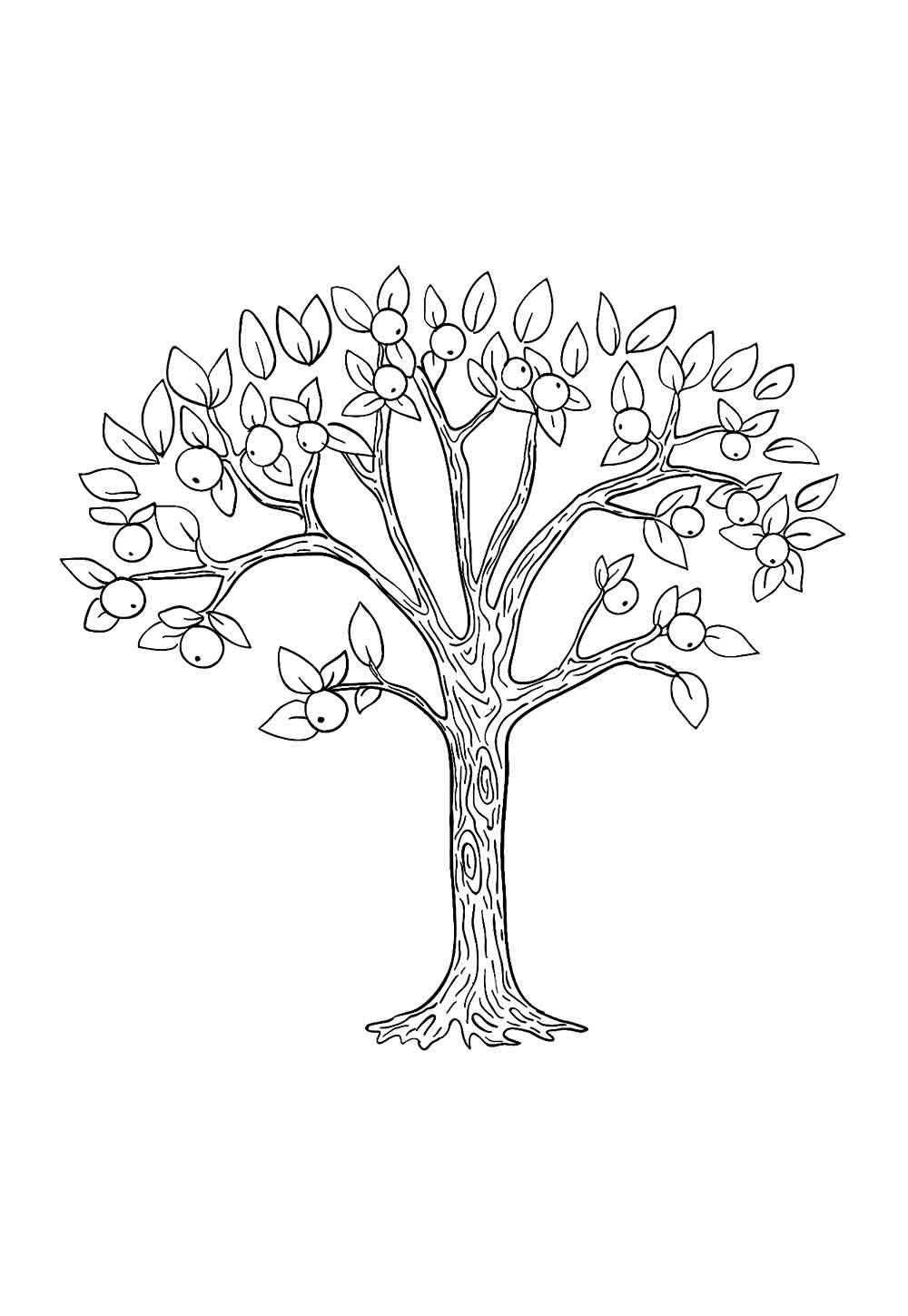 Bäume Ausmalbilder 886