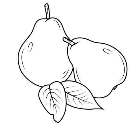 Birne Ausmalbilder 560