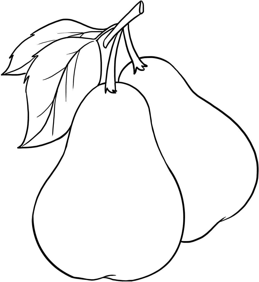 Birne Ausmalbilder 834