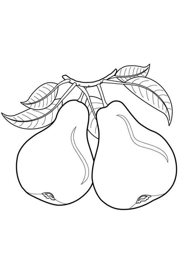 Birne Ausmalbilder 901