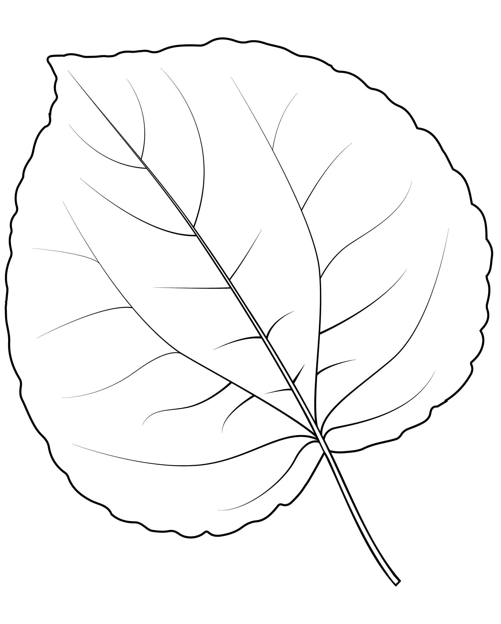 Blätter Ausmalbilder 185