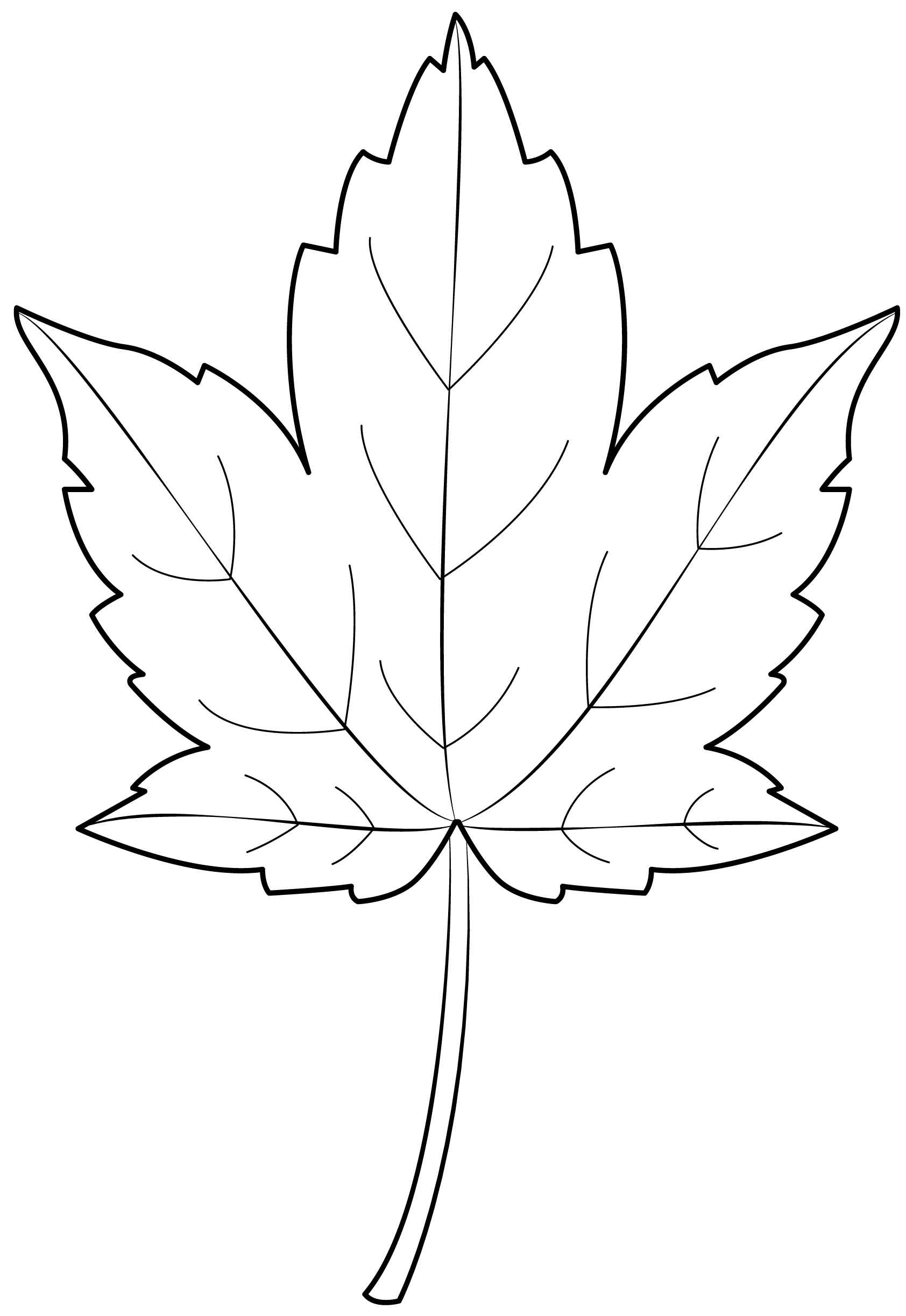 Blätter Ausmalbilder 191