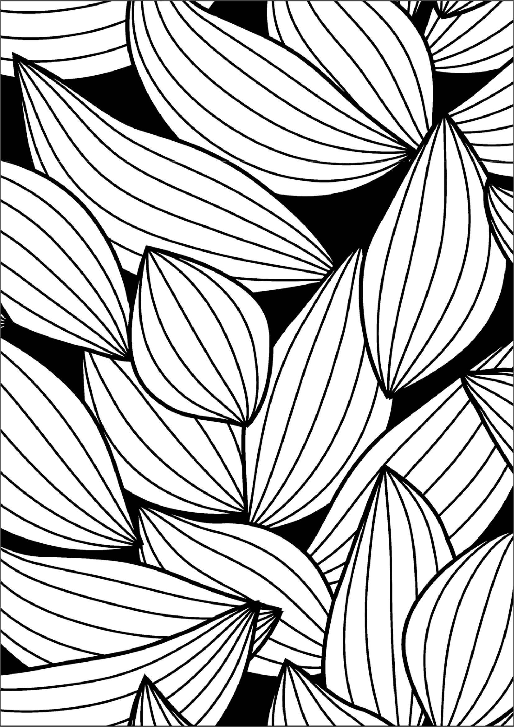 Blätter Ausmalbilder 792