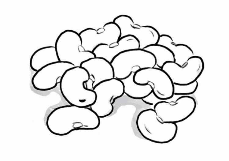 Bohnen Ausmalbilder 753