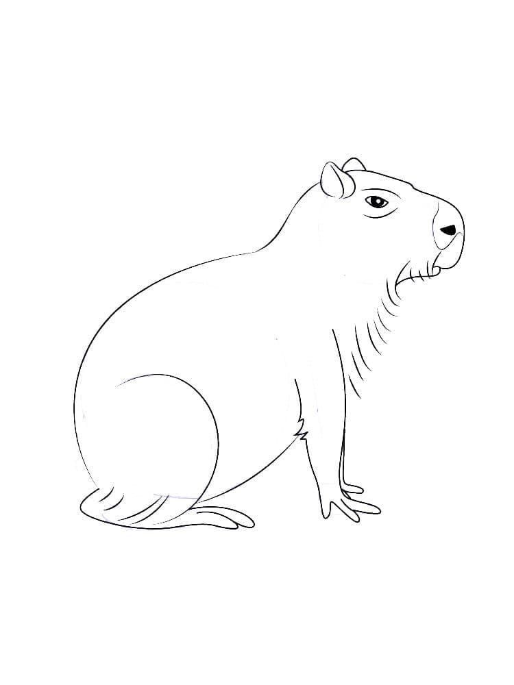 Capybara Ausmalbilder 202