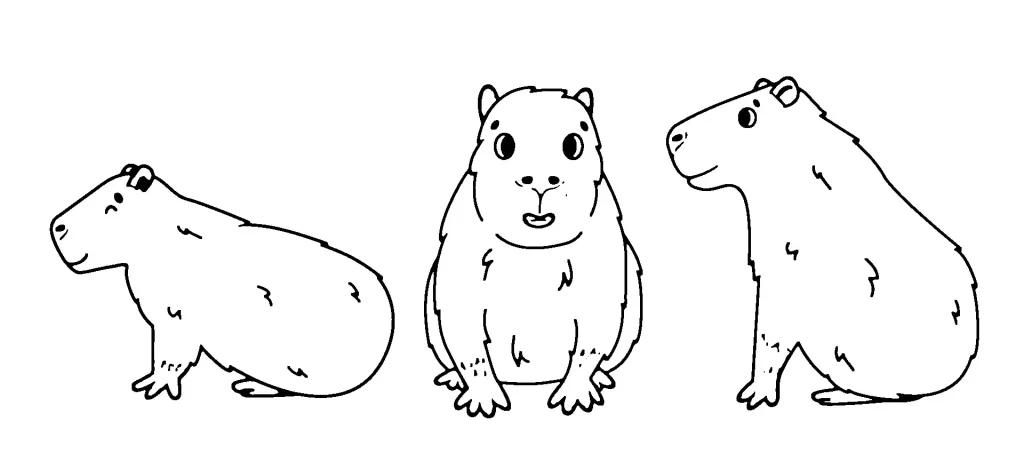 Capybara Ausmalbilder 397