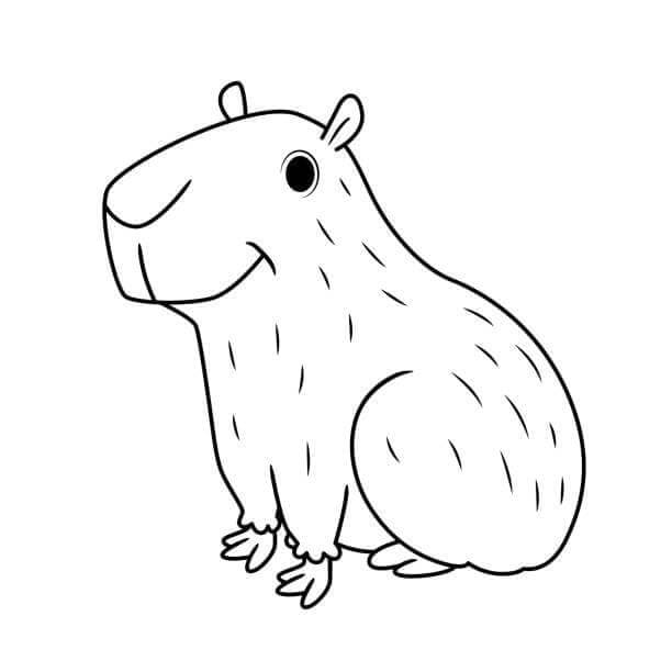 Capybara Ausmalbilder 555