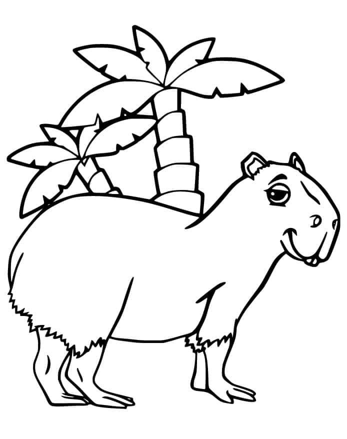 Capybara Ausmalbilder 703